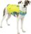 Kurgo Surf n’ Turf Dog Life Jacket, Dog Life Vest for Swimming, Floatation Vests for Dogs, Dog PFD, Reflective, Adjustable, for Small Medium Large Pets (Yellow/Blue, Medium)