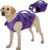 Kuoser Dog Life Jacket, High Flotation Dog Life Vest for Swimming Boating, Adjustable Ripstop Dog Lifesaver for Small Medium and Large Dogs, Reflective Safety Pet Life Preserver with Rescue Handle