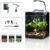 1.5 Gallon Aquarium Fish Tank with HOB Filter and Light, All in one Small Fish Tank kit, Complete Desktop Small Aquarium